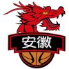 安徽文一U19